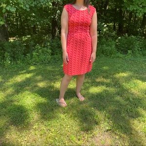 Boden size 4P bird print sleeveless dress.